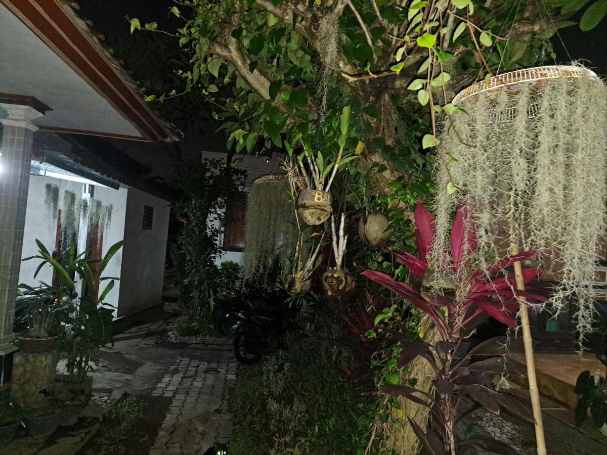 Ascarya Guest House Sanur Εξωτερικό φωτογραφία