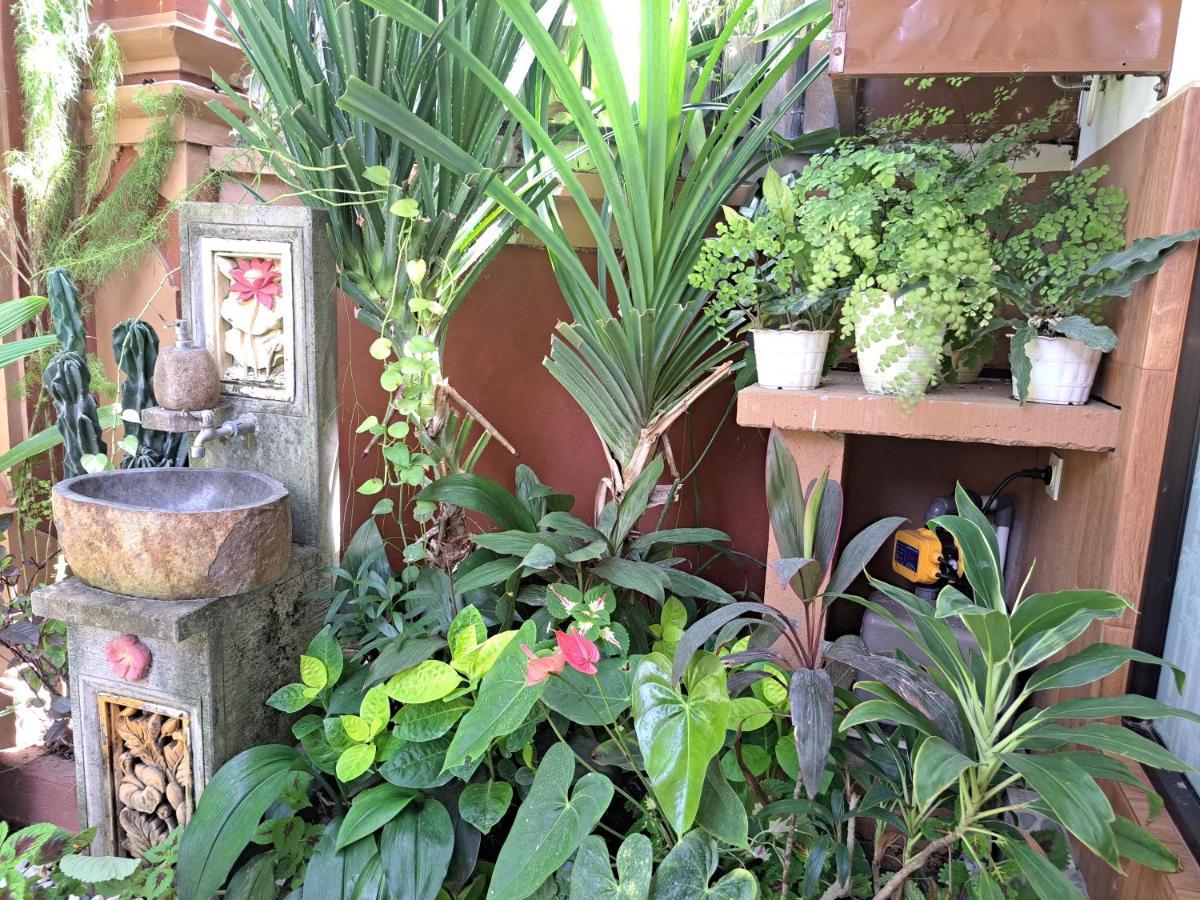 Ascarya Guest House Sanur Εξωτερικό φωτογραφία